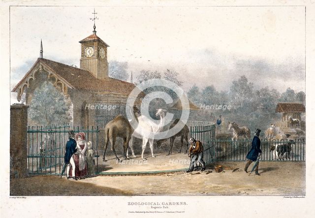 Zoological Gardens, Regent's Park, London, 1835. Artist: Charles Joseph Hullmandel