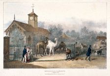 Zoological Gardens, Regent's Park, London, 1835. Artist: Charles Joseph Hullmandel