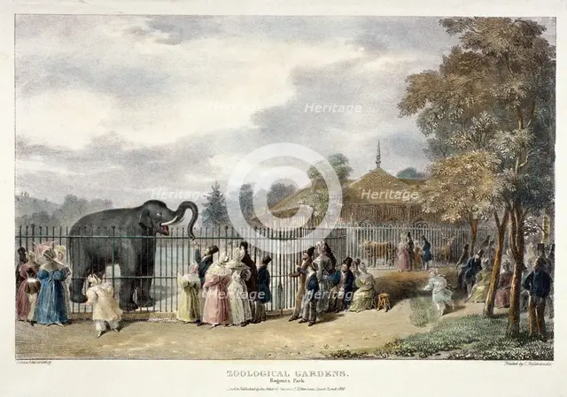 Zoological Gardens, Regent's Park, London, 1835.  Artist: George Scharf