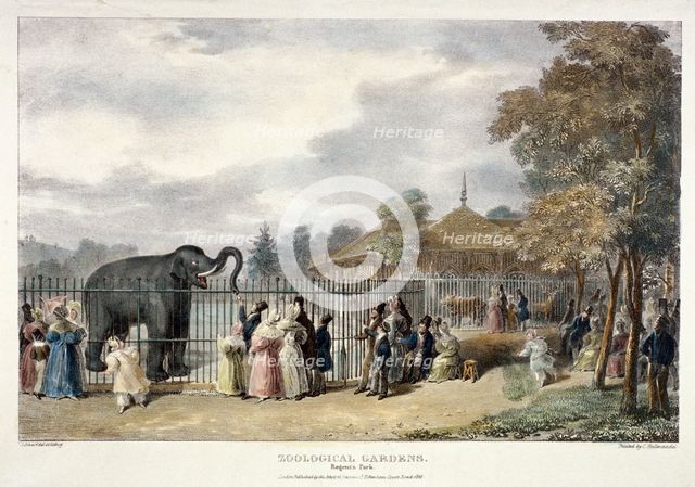 Zoological Gardens, Regent's Park, London, 1835.  Artist: George Scharf