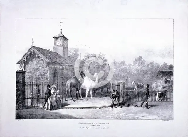 Zoological Gardens, Regent's Park, Marylebone, London, 1835. Artist: George Scharf