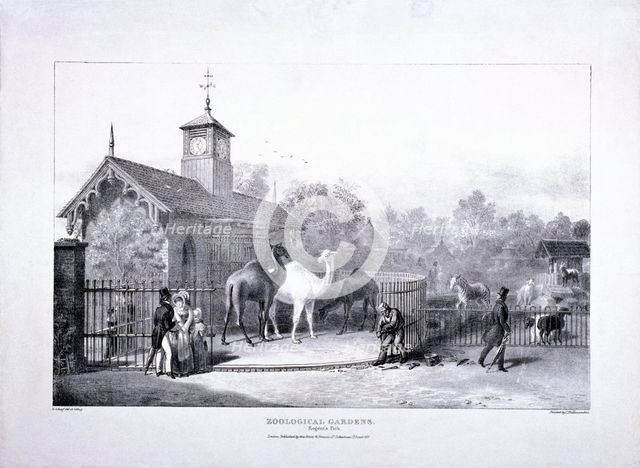 Zoological Gardens, Regent's Park, Marylebone, London, 1835. Artist: George Scharf