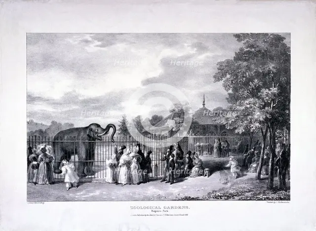 Zoological Gardens, Regent's Park, Marylebone, London, 1835. Artist: George Scharf