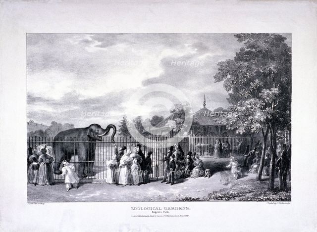 Zoological Gardens, Regent's Park, Marylebone, London, 1835. Artist: George Scharf