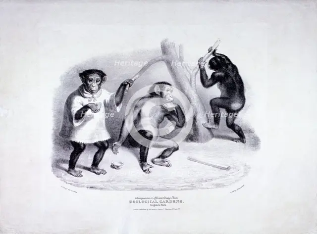 Zoological Gardens, Regent's Park, Marylebone. London, 1835. Artist: George Scharf