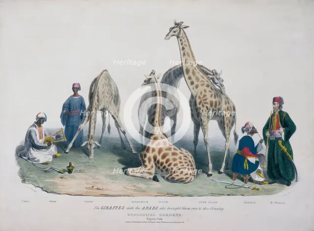 Zoological Gardens, Regent's Park, Marylebone, London, 1836. Creator: George Scharf.