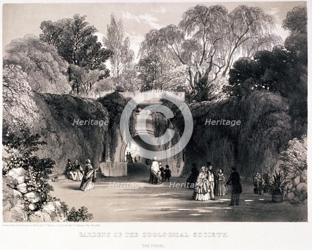 Zoological Gardens, Regent's Park, Marylebone, London, c1840. Artist: FW Hulme