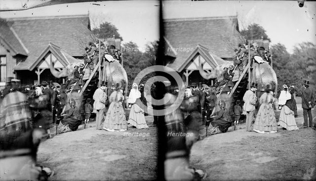 Zoological Gardens, Regent's Park, Westminster, London, c1870-1900. Artist: York & Son