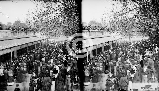 Zoological Gardens, Regent's Park, Westminster, London, c1870-1900. Artist: York & Son