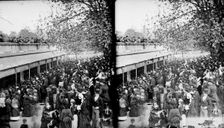 Zoological Gardens, Regent's Park, Westminster, London, c1870-1900. Artist: York & Son