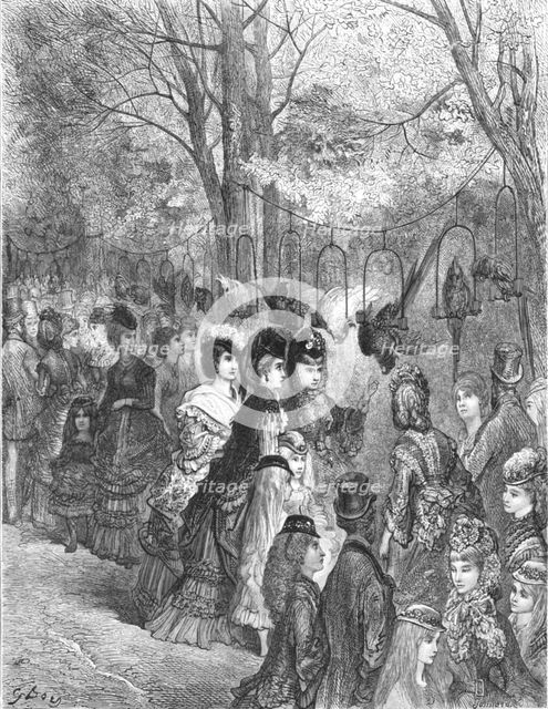 'Zoological Gardens - The Parrot Walk', 1872.  Creator: Gustave Doré.