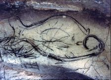 Zoomorphic cave painting from the Upper Paleolithic on the rock of La Pileta cave (Benaoján, Mála…