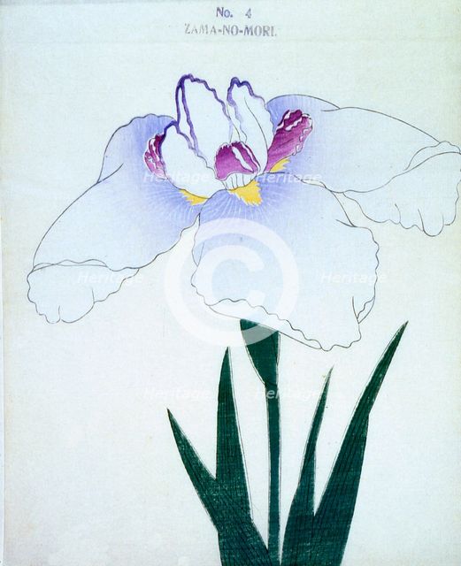 Zama-No-Mori, No 4.