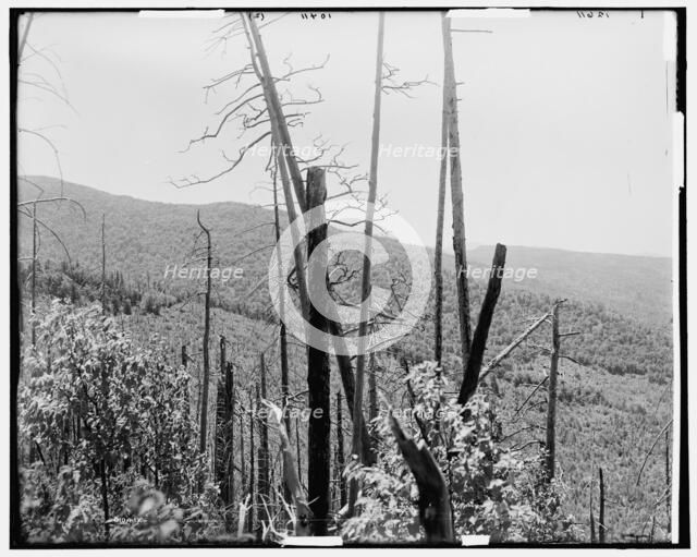 Zealand Valley from Mt. Echo, White Mountains, c1900. Creator: Unknown.