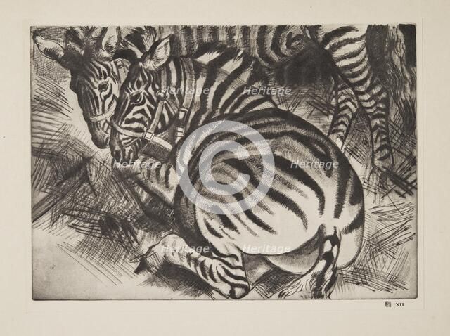 Zebras , pub. 1930. Creator: Laura Knight (1877 - 1970).