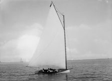 Zelica, 1891 July 11. Creator: John S Johnston