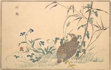 Zhu ji, 1789. Creator: Kitao Masayoshi