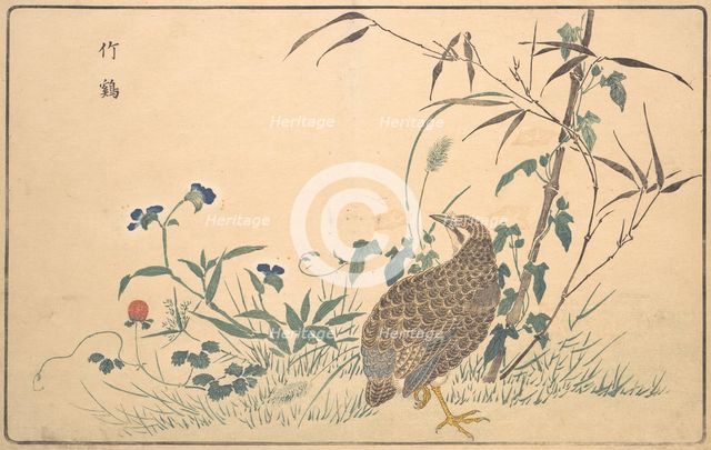 Zhu ji, 1789. Creator: Kitao Masayoshi.