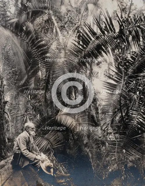 Zimbabwe: a member of the British Association sitting in a palm ravine, 1905. Creator: Geoffrey L Parsons.