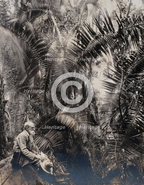 Zimbabwe: a member of the British Association sitting in a palm ravine, 1905. Creator: Geoffrey L Parsons.
