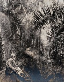 Zimbabwe: a member of the British Association sitting in a palm ravine, 1905. Creator: Geoffrey L Parsons